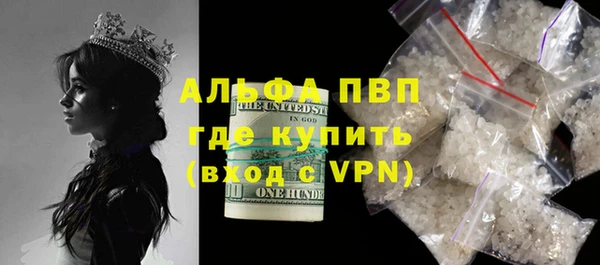 прущие грибы Белоозёрский