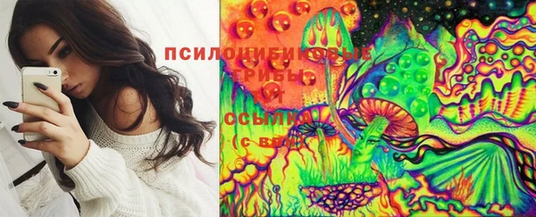 гидра Беломорск
