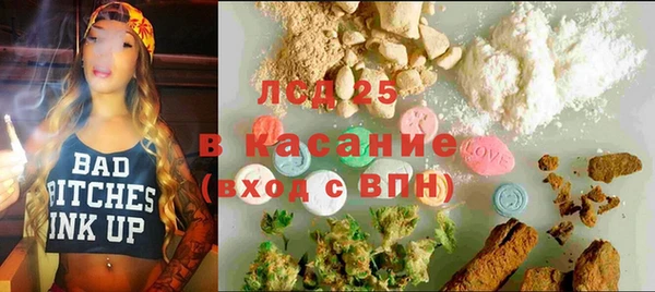 прущие грибы Белоозёрский