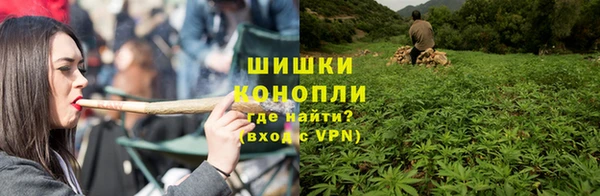 прущие грибы Белоозёрский