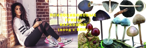 jwh Белокуриха