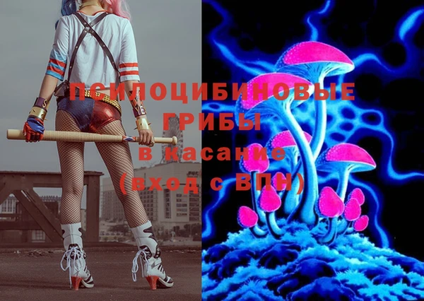 хмурый Нефтекумск