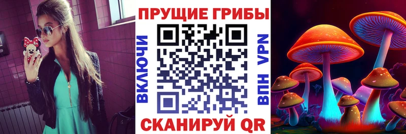 Псилоцибиновые грибы MAGIC MUSHROOMS  наркотики  Горячеводский 